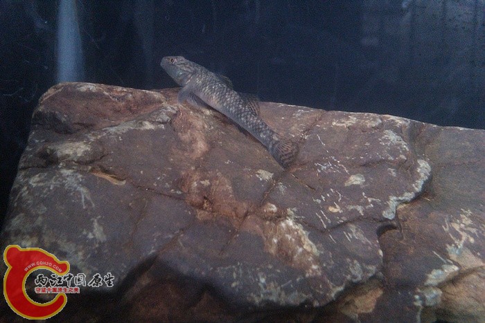 IMAG1353.jpg