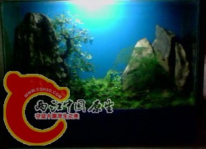 7)61C`9}4CH[P(8}JH6I32A.jpg