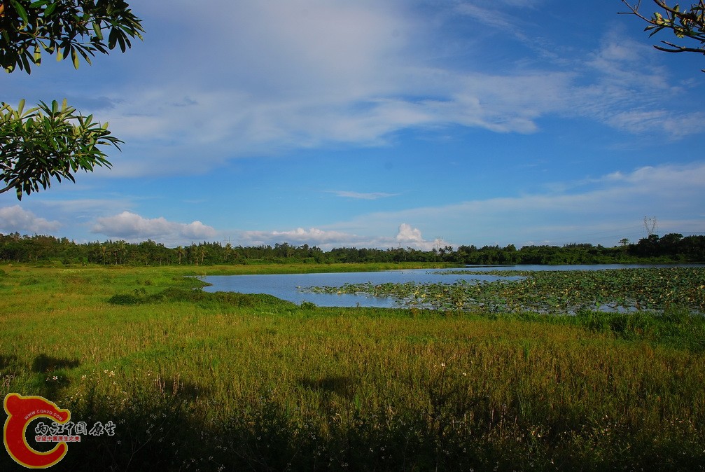 那央湿地.jpg