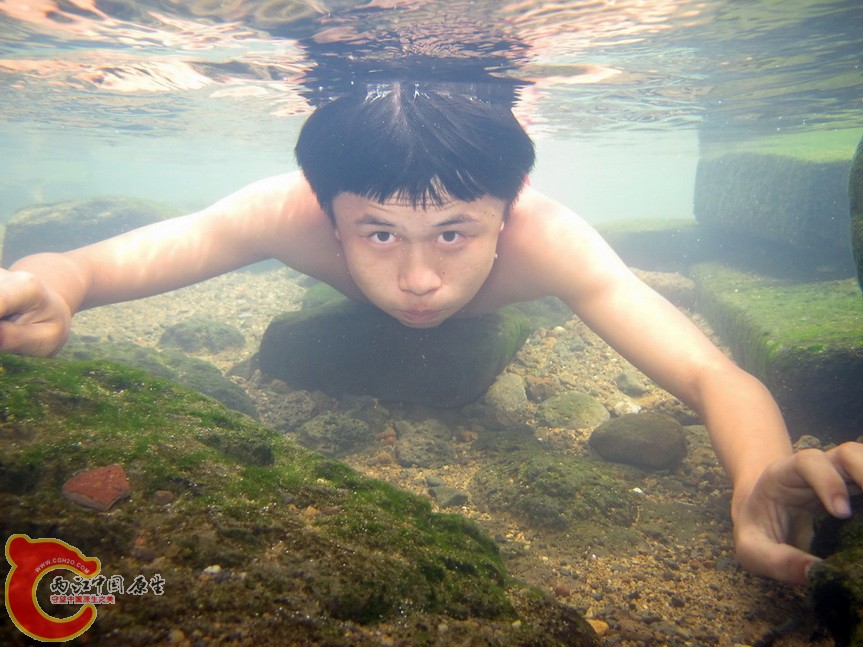 那央水下照片 大鱼.jpg