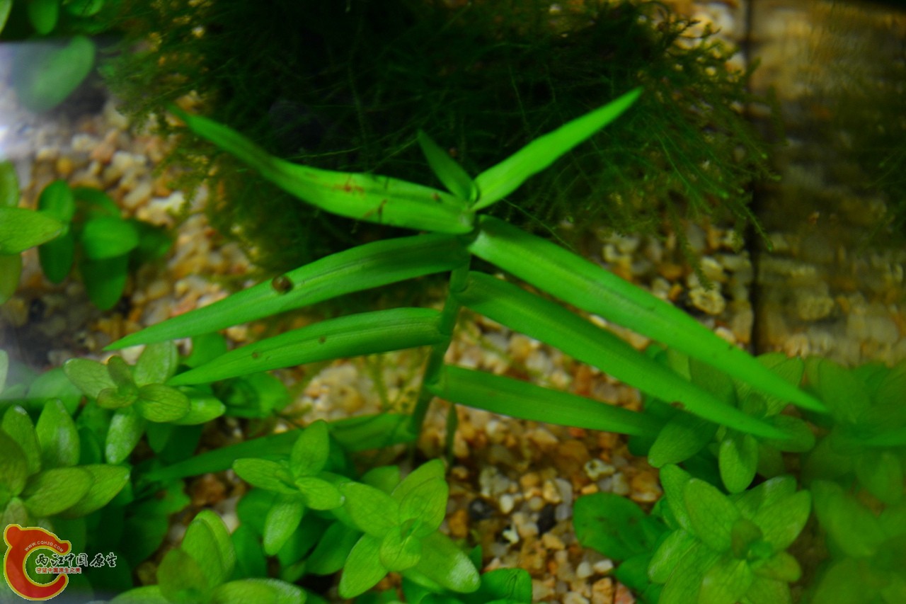 20111113-750.jpg