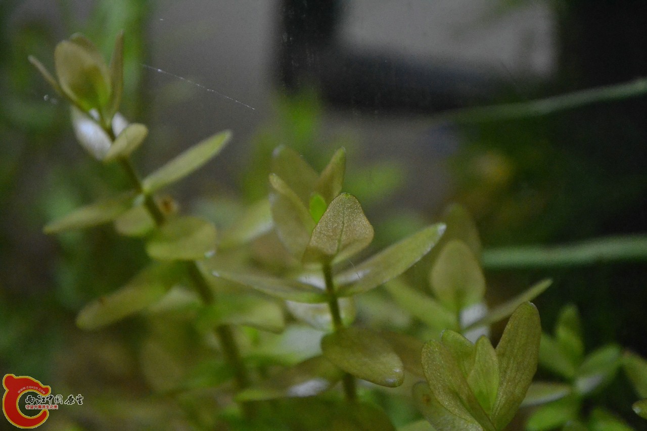 20111114-777.jpg