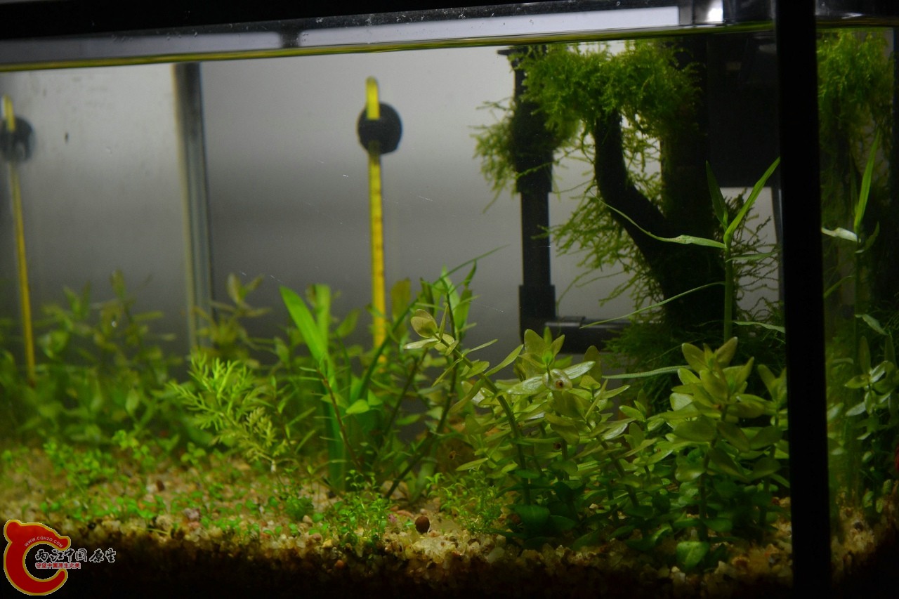 20111115-792.jpg