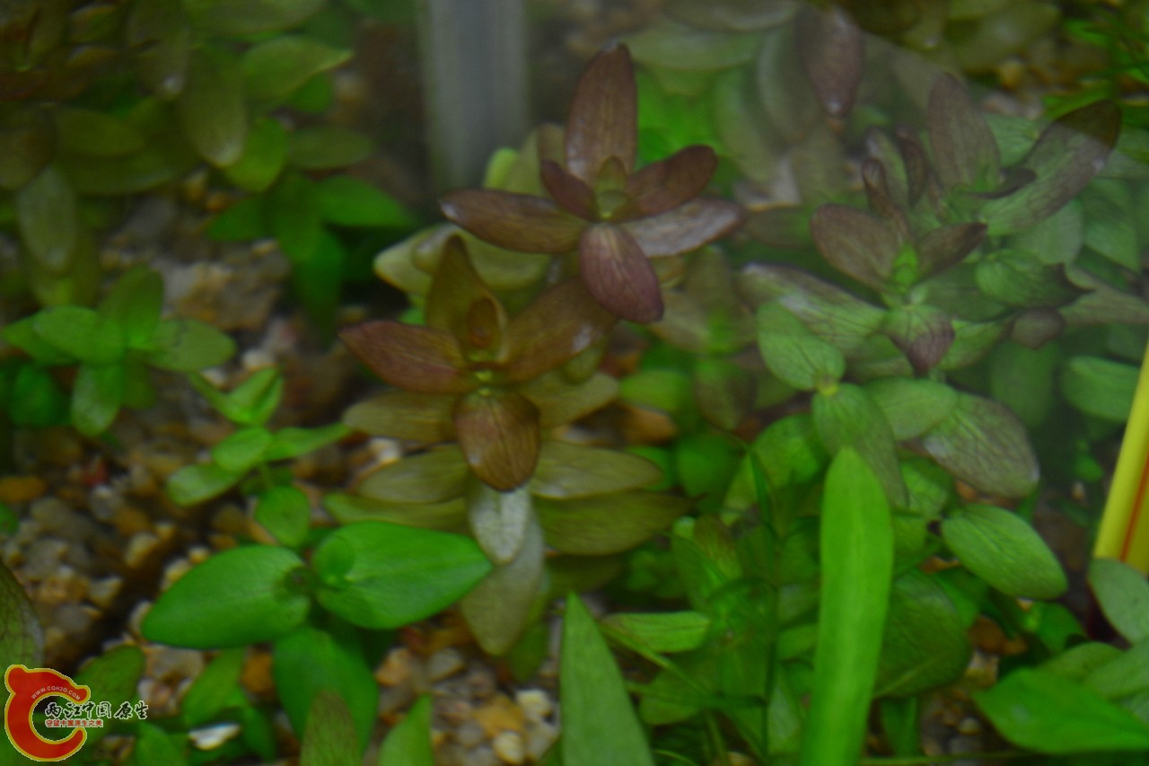 20111118-805.jpg