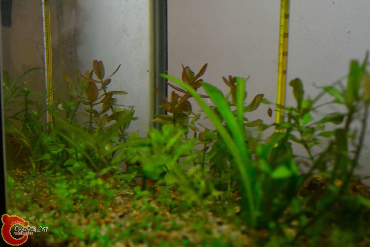 20111118-809.jpg