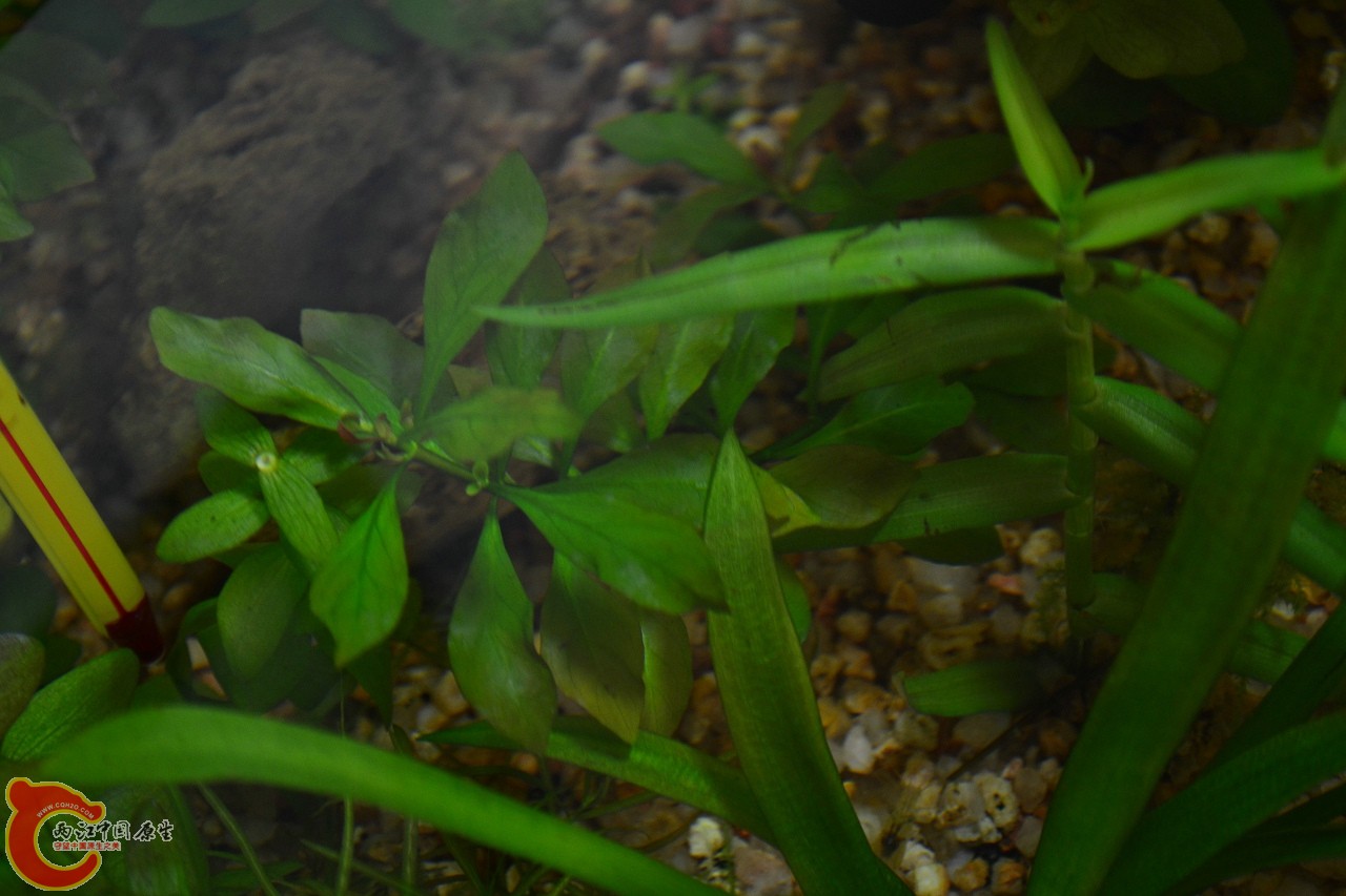20111118-817.jpg