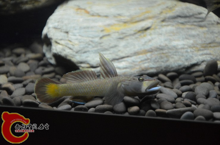 DSC_1389.jpg