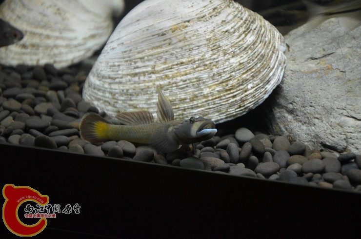 DSC_1382.jpg