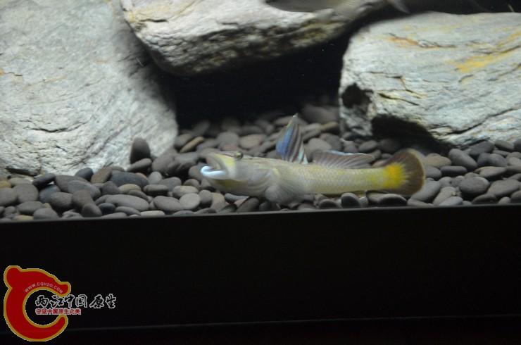 DSC_1399.jpg