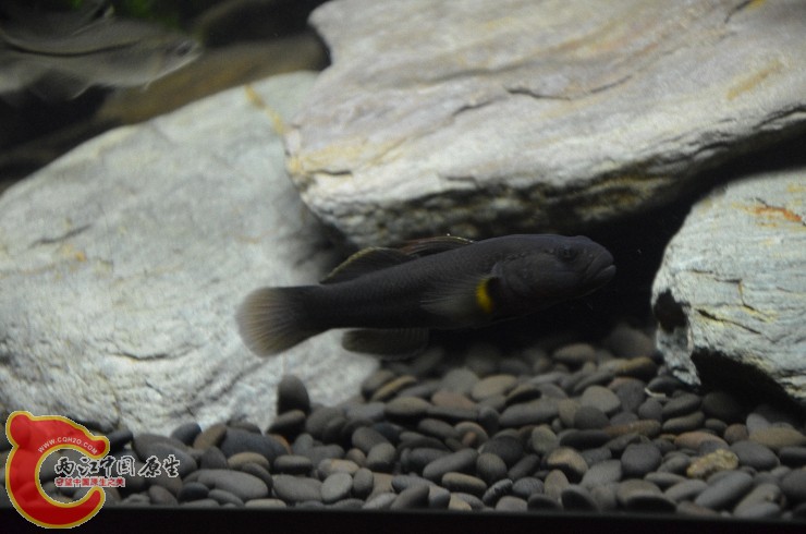 DSC_1402.jpg