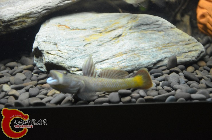 DSC_1408.jpg