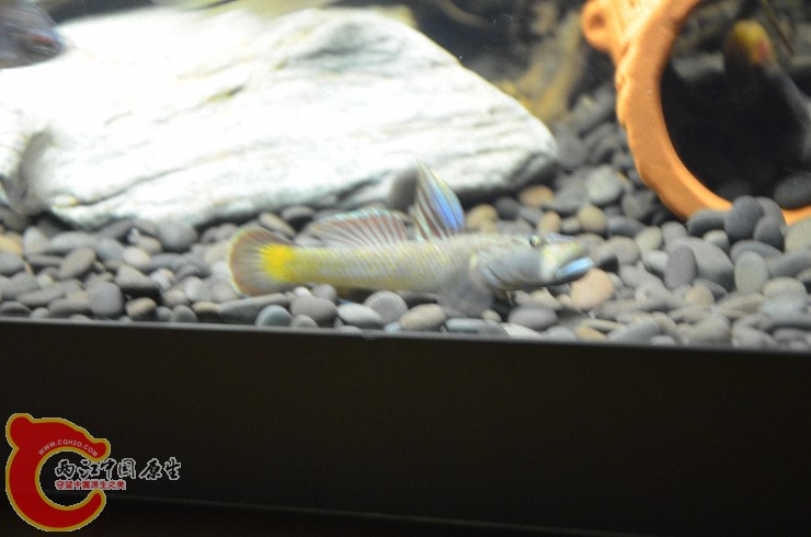 DSC_1407.jpg