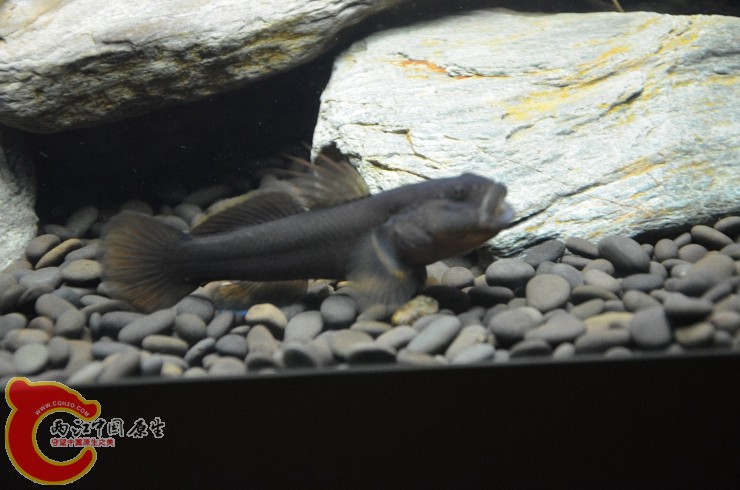 DSC_1409.jpg