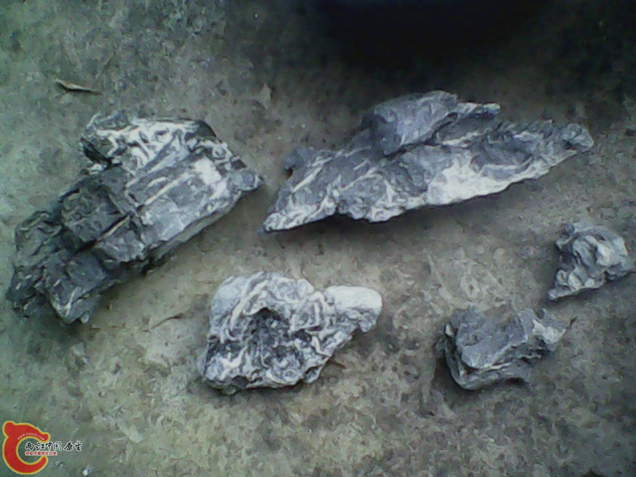 img0810_180847377.jpg