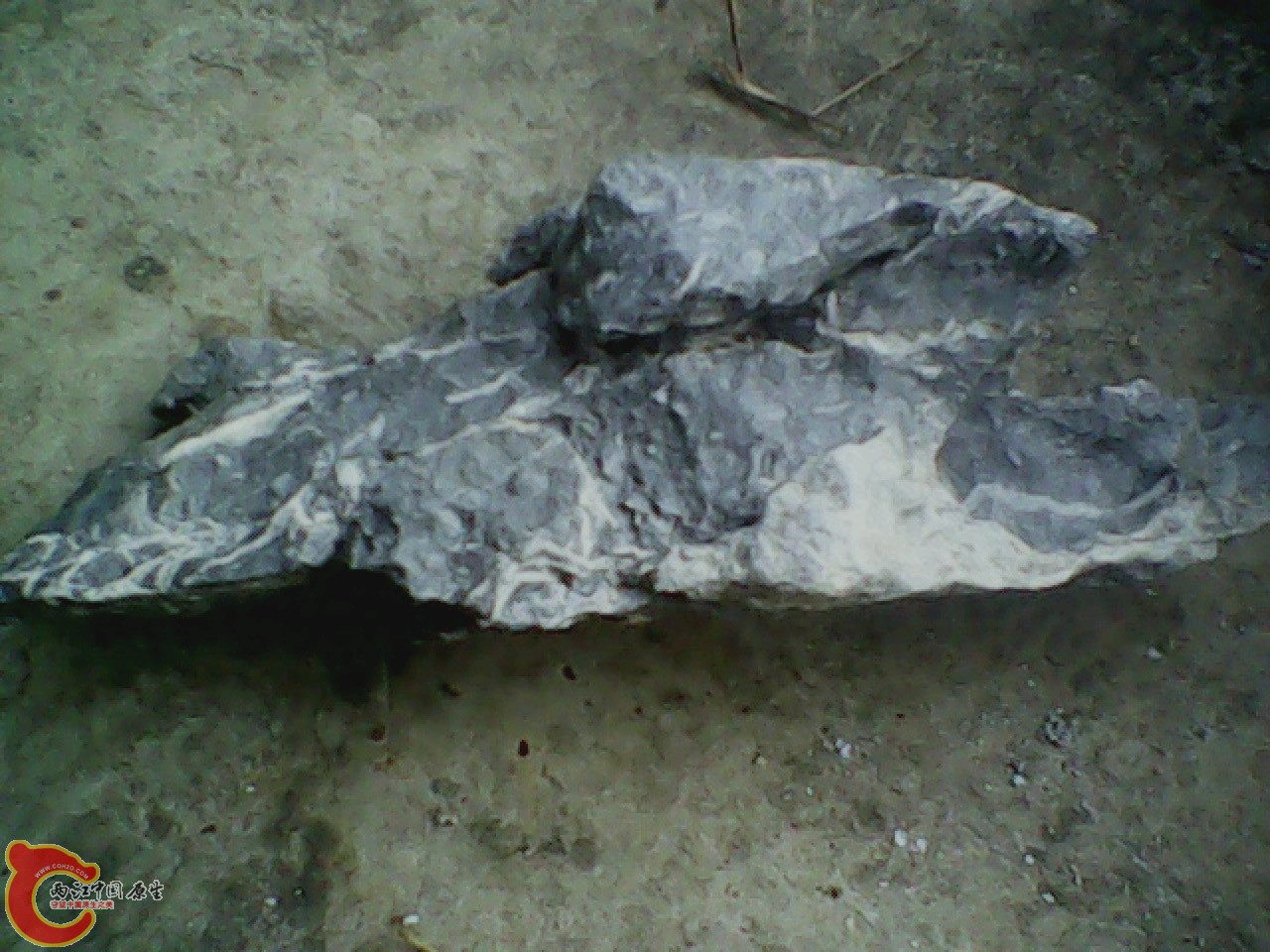 img0810_180506048.jpg