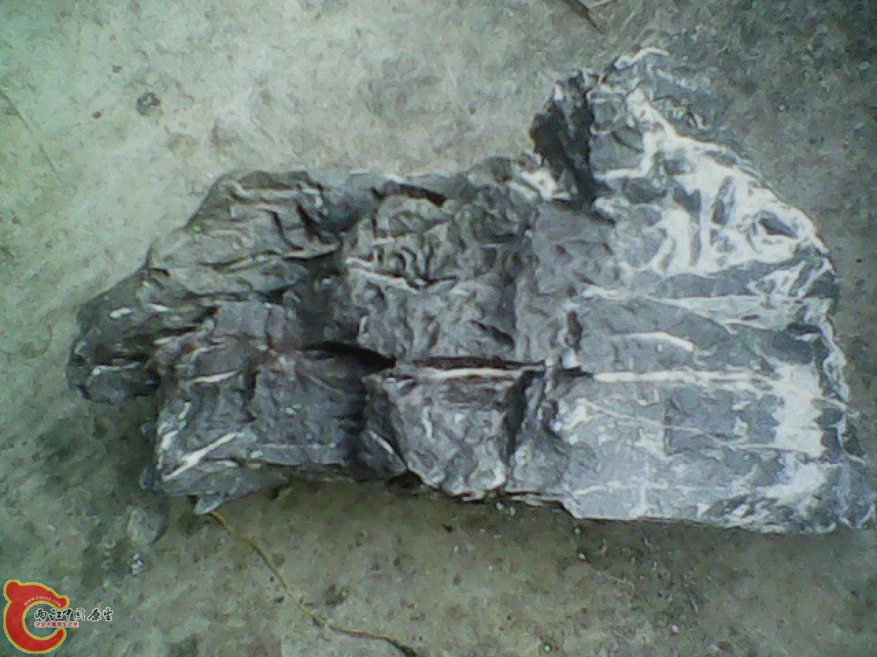 img0810_180553957.jpg
