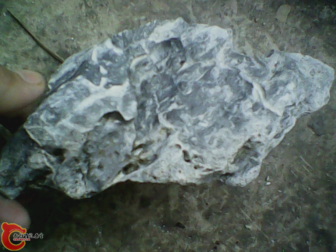 img0810_180623563.jpg