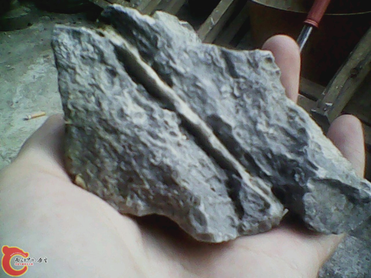 img0810_180738483.jpg