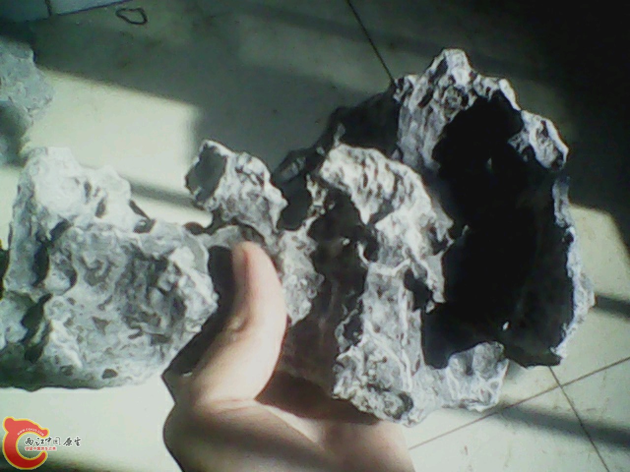 img0820_162249511.jpg