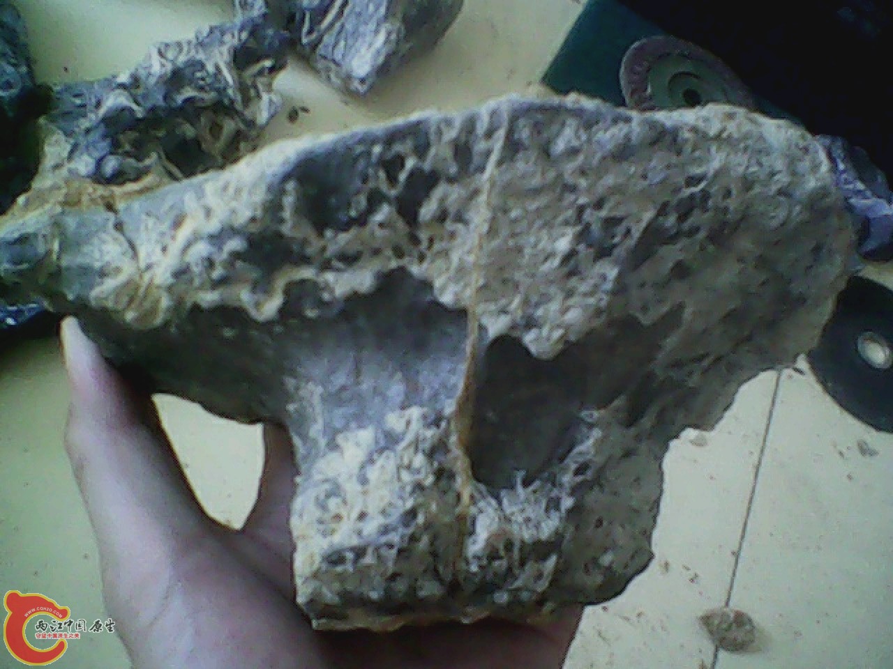 img0810_181234978.jpg