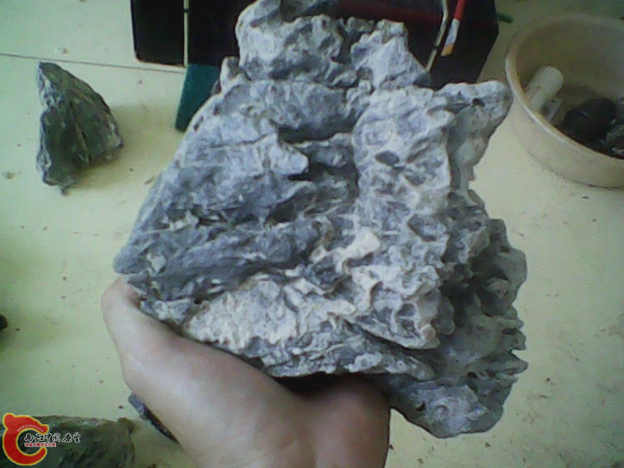 img0810_181501776.jpg