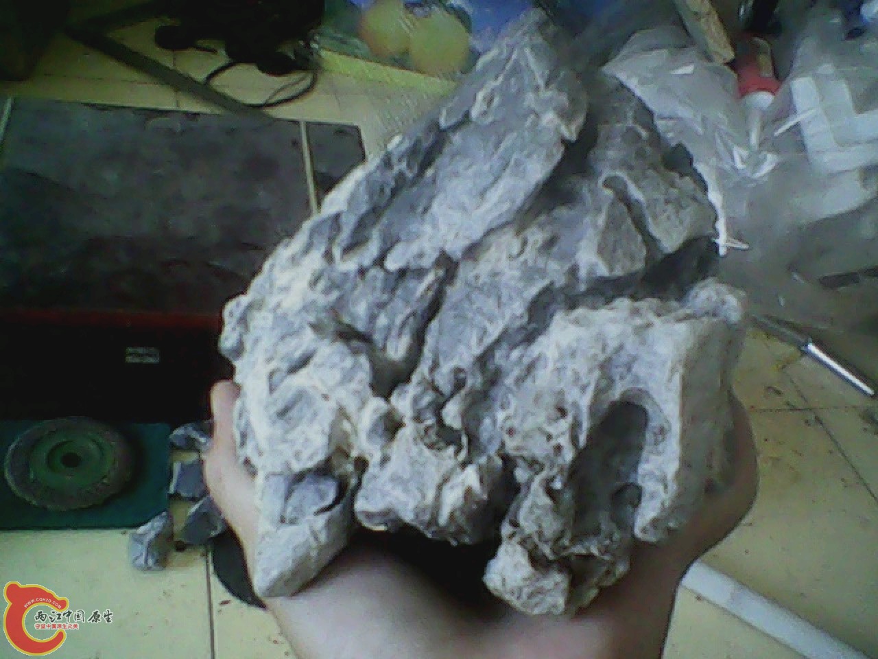 img0810_181536261.jpg