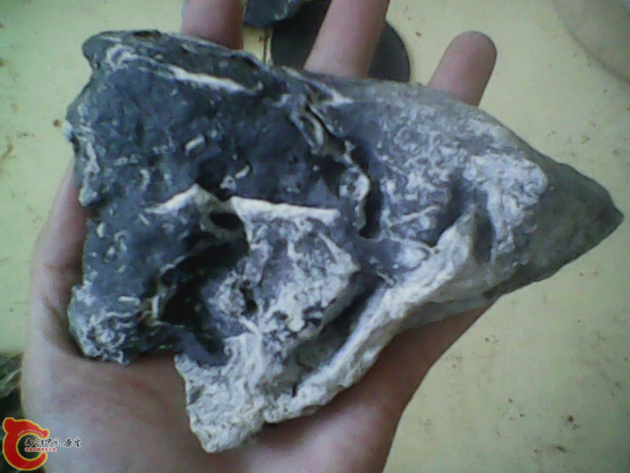 img0810_181648206.jpg