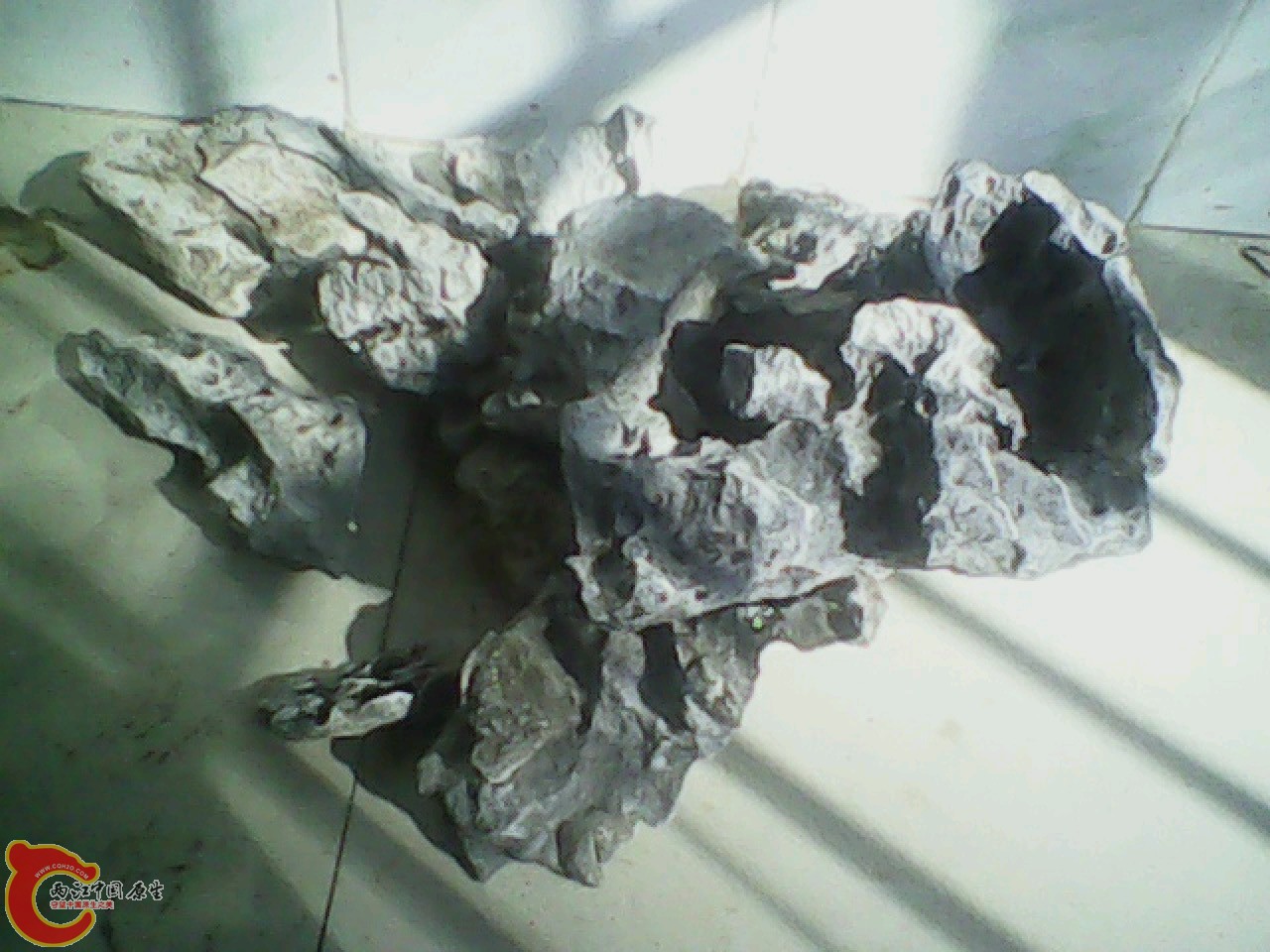 img0820_162146870.jpg