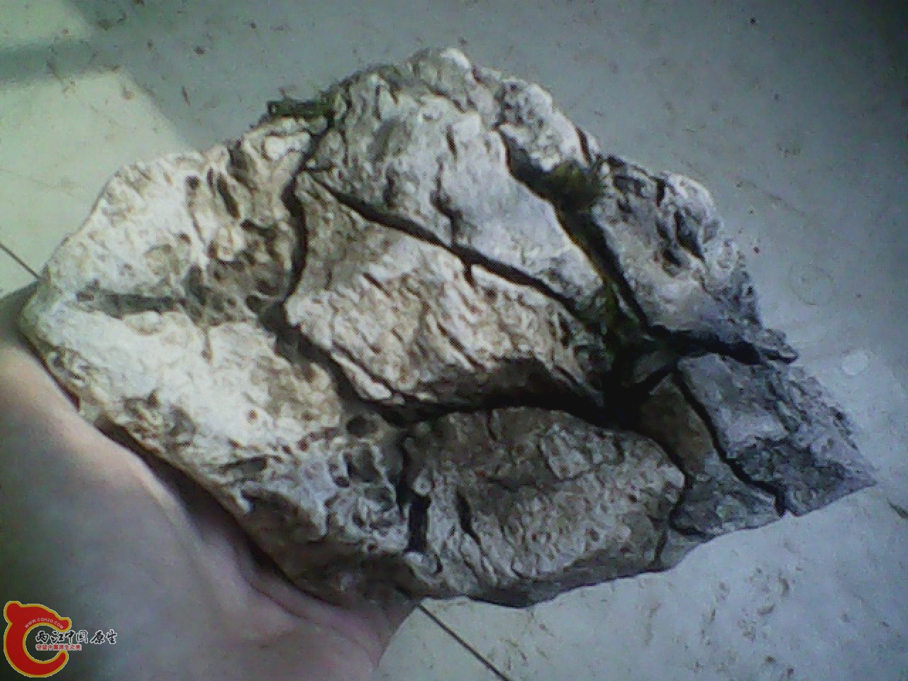 img0820_162221677.jpg