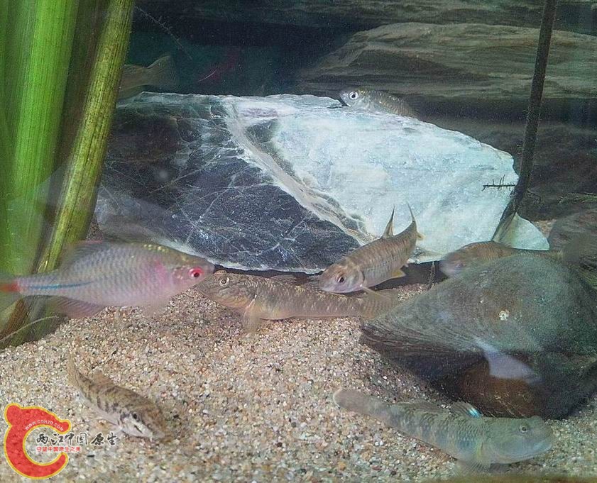 照片2894.jpg