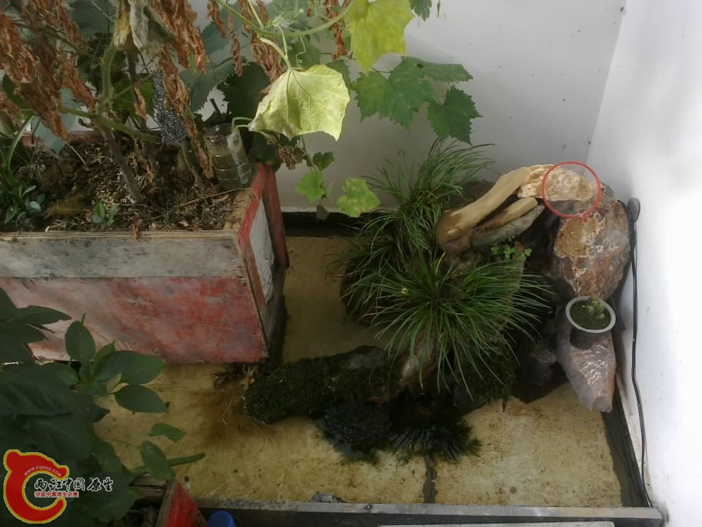 20120914743.jpg