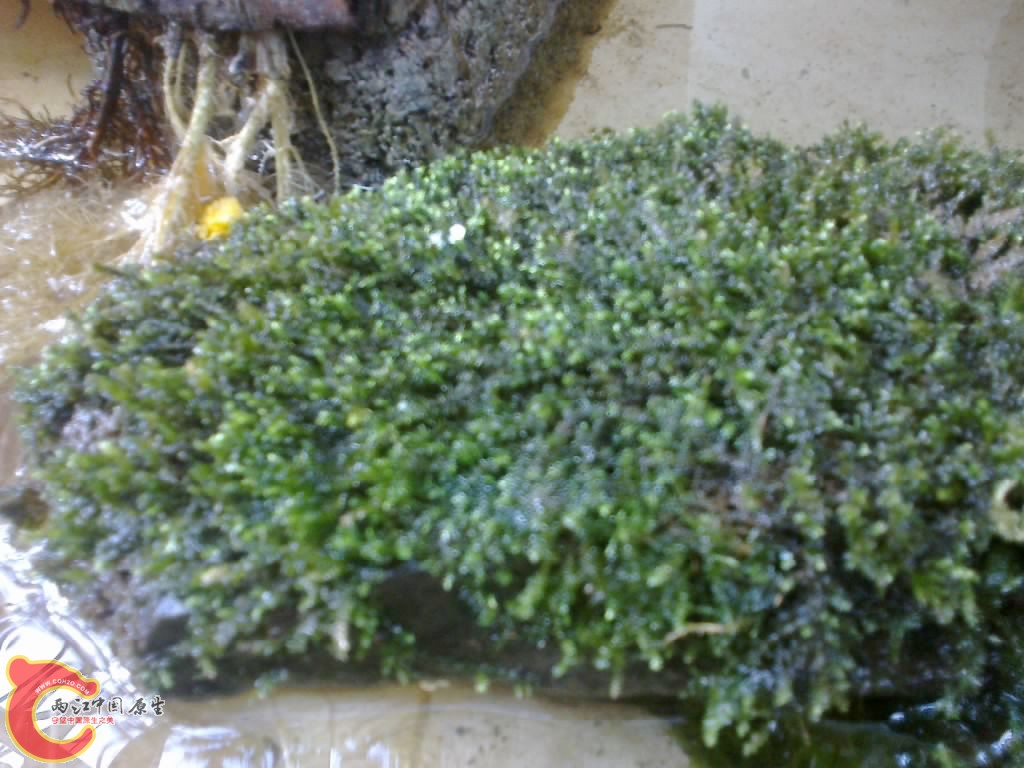 20120914745.jpg