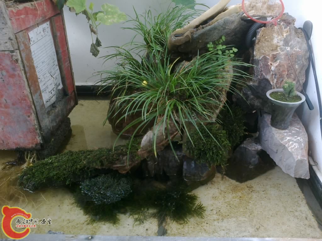 20120914744.jpg
