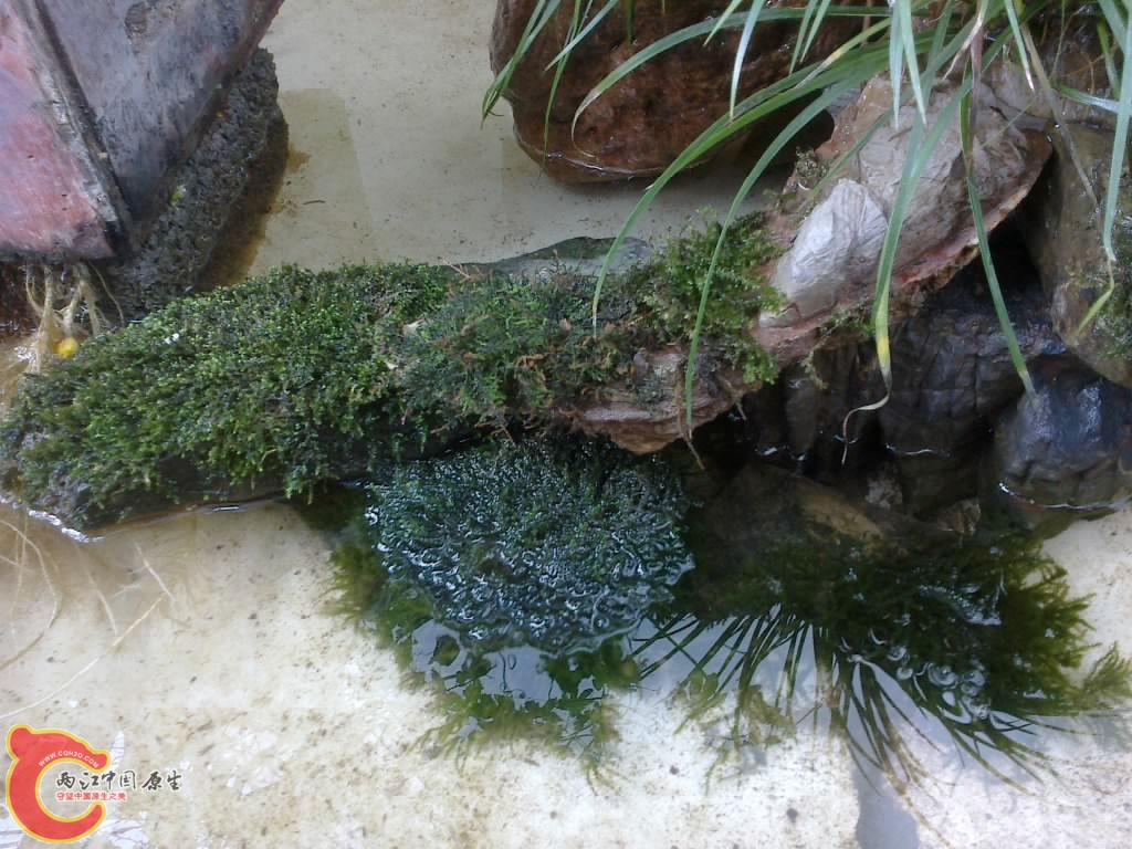 20120914746.jpg