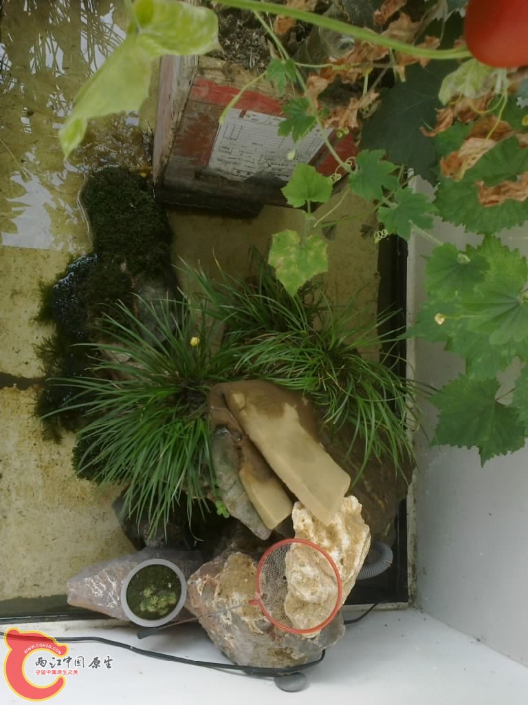20120914748.jpg