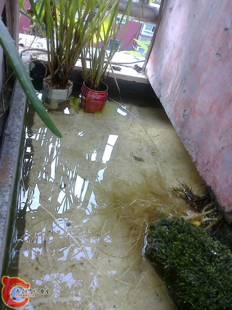 20120914747.jpg