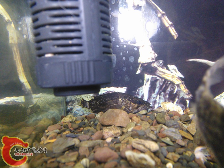 WP_000774_副本.jpg