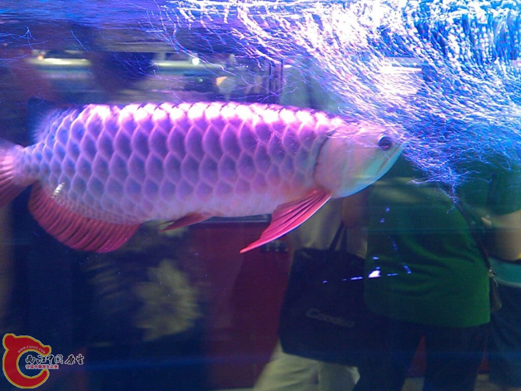 CYMERA_20120916_144546.jpg
