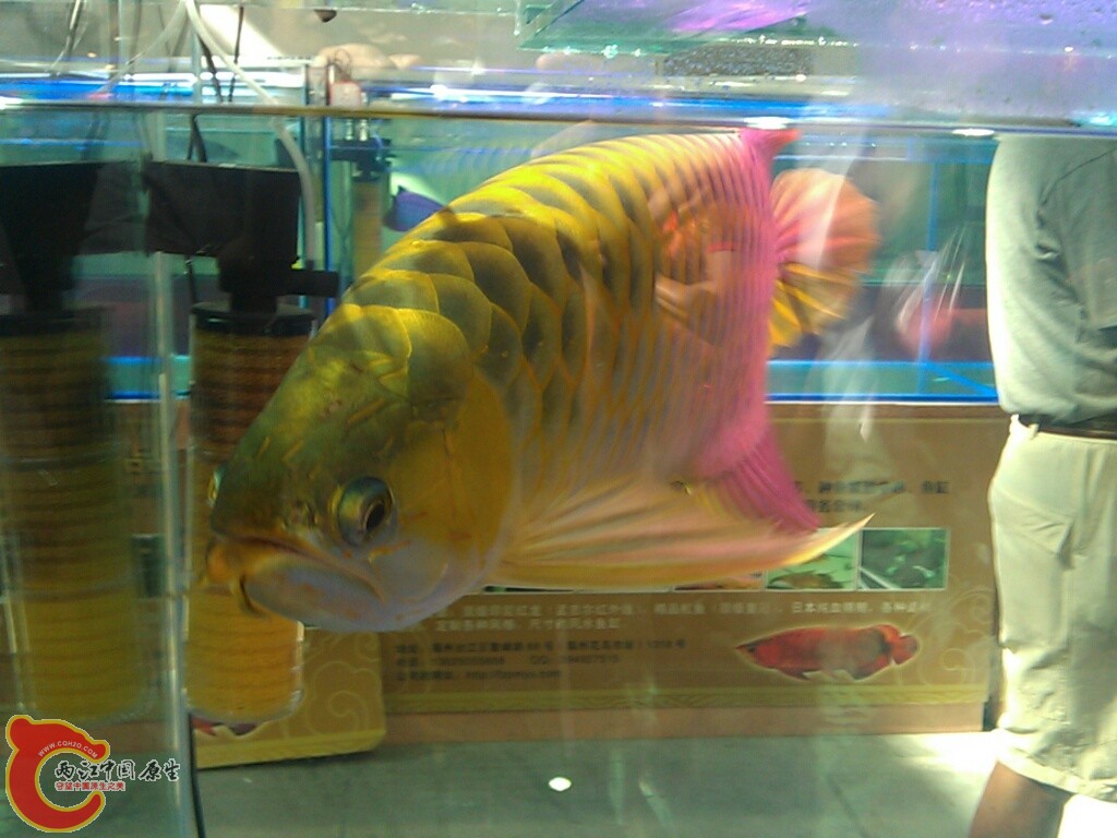 CYMERA_20120916_145111.jpg