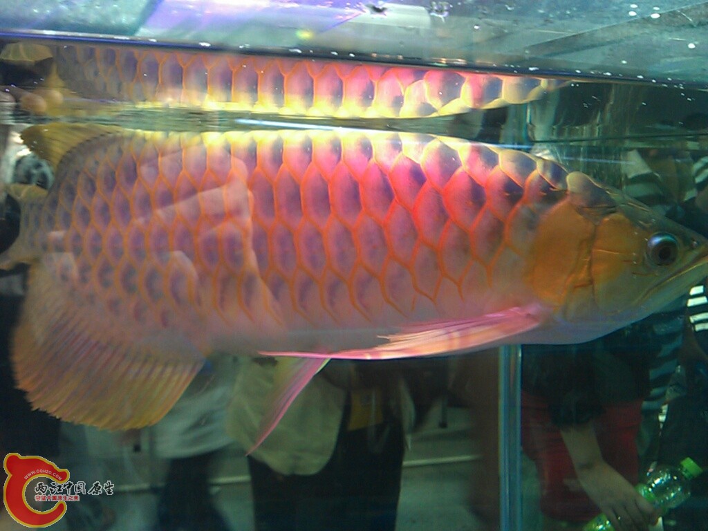 CYMERA_20120916_145152.jpg