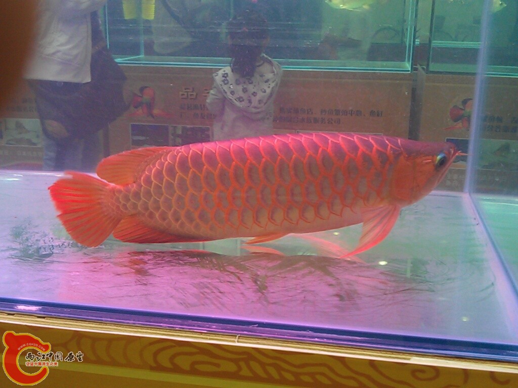 CYMERA_20120916_145309.jpg