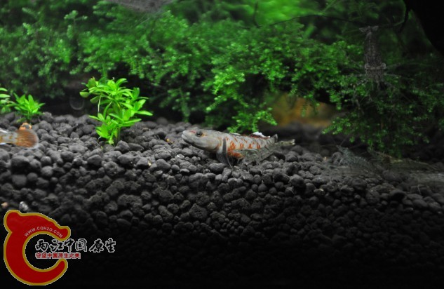 DSC_0858.JPG