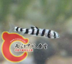 DSCN9972_.jpg