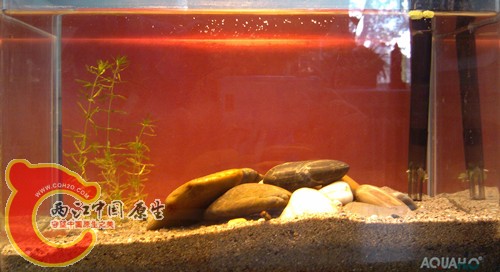 IMG_20120917_123809_副本.jpg