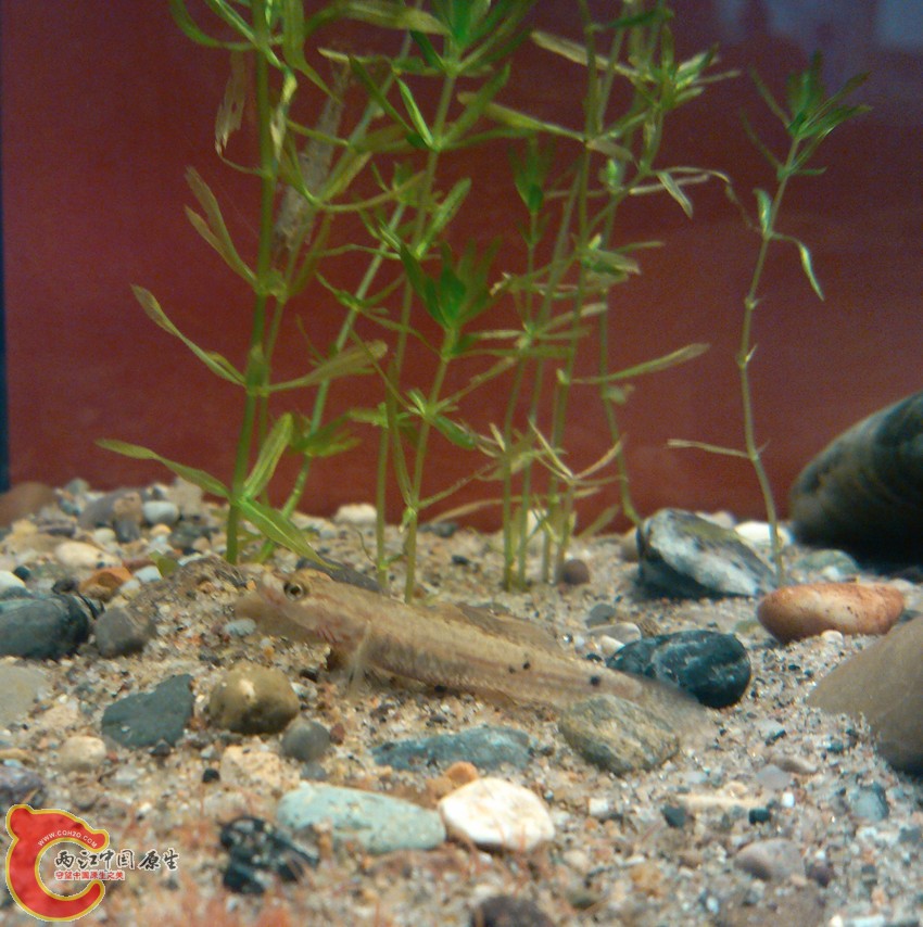 IMG_20120925_132806_副本.jpg