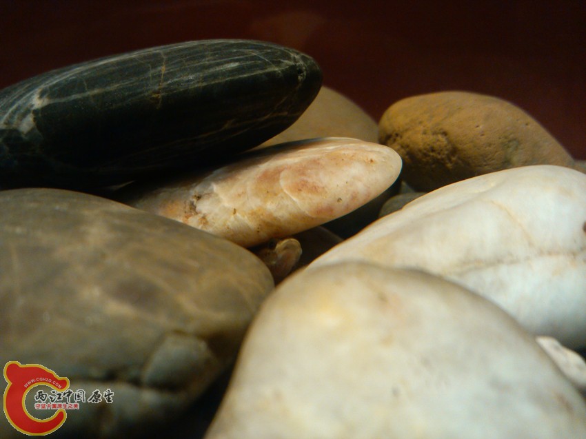 IMG_20120925_132832_副本.jpg