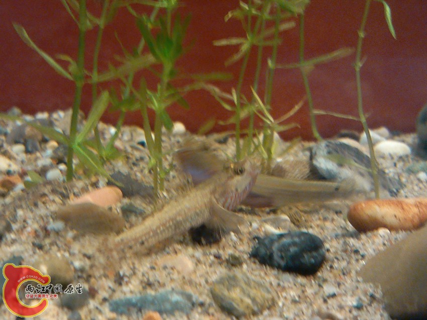 IMG_20120925_132841_副本.jpg