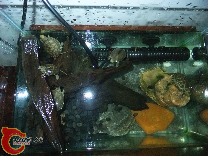 DSCF6015_副本.jpg