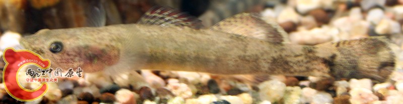 IMG_0026.JPG