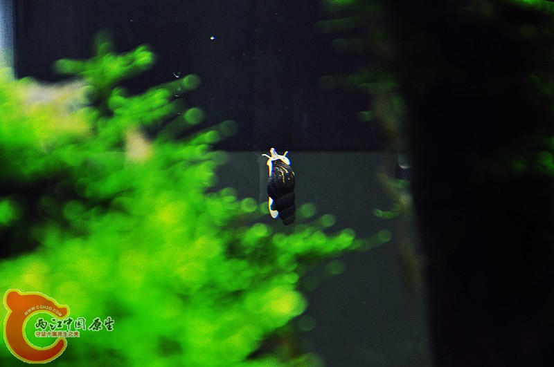 DSC_0773_副本.jpg
